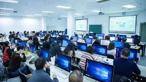 大連東軟信息學(xué)院計算機科學(xué)與技術(shù)專業(yè)入選國家一流本科專業(yè)建設(shè)點，技術(shù)服務(wù)能力獲得國家認可