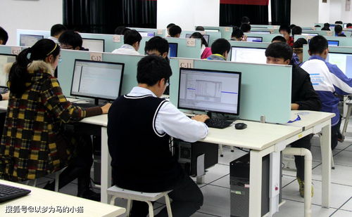 計(jì)算機(jī)技術(shù)開發(fā) 理科男生的黃金賽道，就業(yè)率高前景廣闊